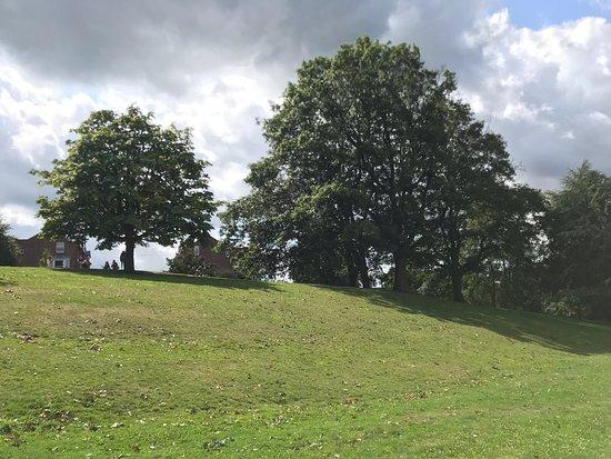 Calverley Grounds Cafe