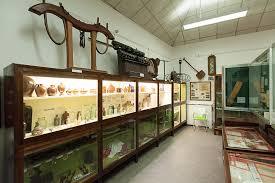 Tunbridge Wells Müzesi ve Sanat Müzesi